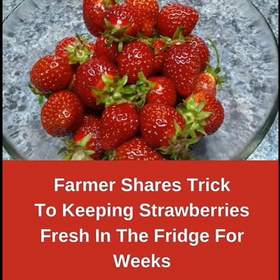 Keep Strawberries Fresh