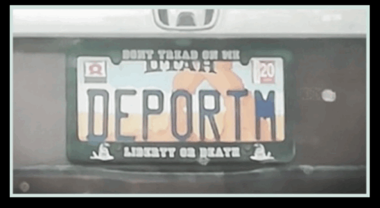 License Plate And Sparks State Investigation