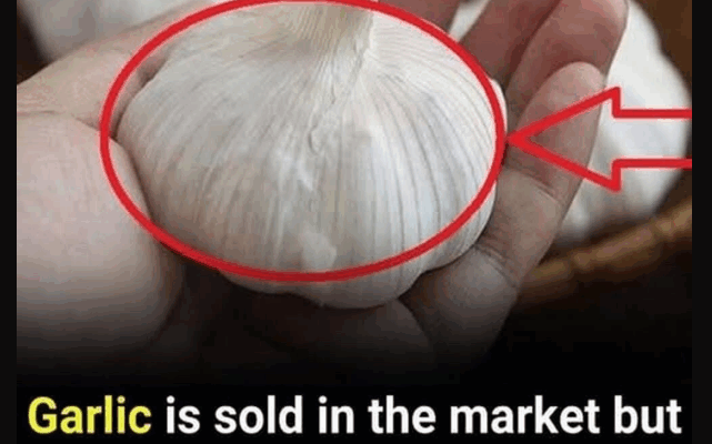 Even if they are given for free, you shouldn’t take them