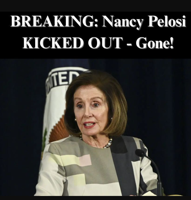 Pelosi Makes Up Fake Sections of Constitution, Dems Nod In Agreement