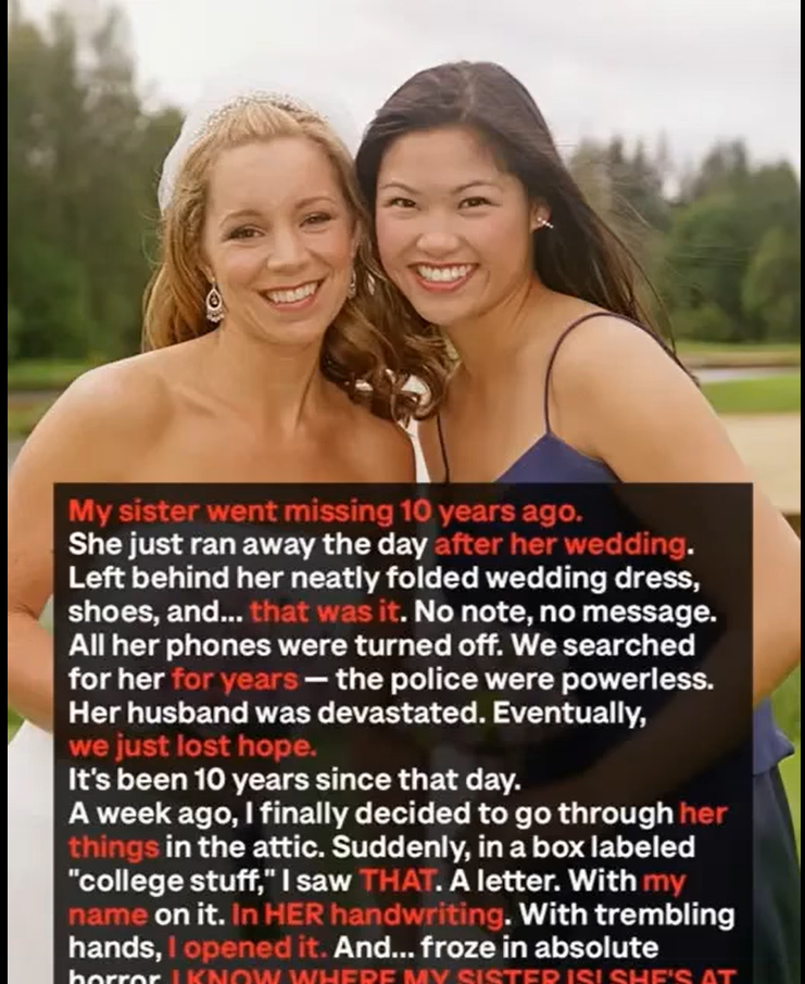 She Vanished After Her Wedding Night – A Decade Later, Her Letter Changed Everything
