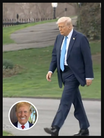 Photo Of Trump Walking Toward Marine One Turns Heads After People Spot Small Detail