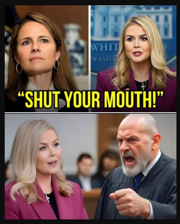 Judge Fined Leavitt 0K for Insulting Biden, 7 Minutes Later, Bondi Cuffed Him