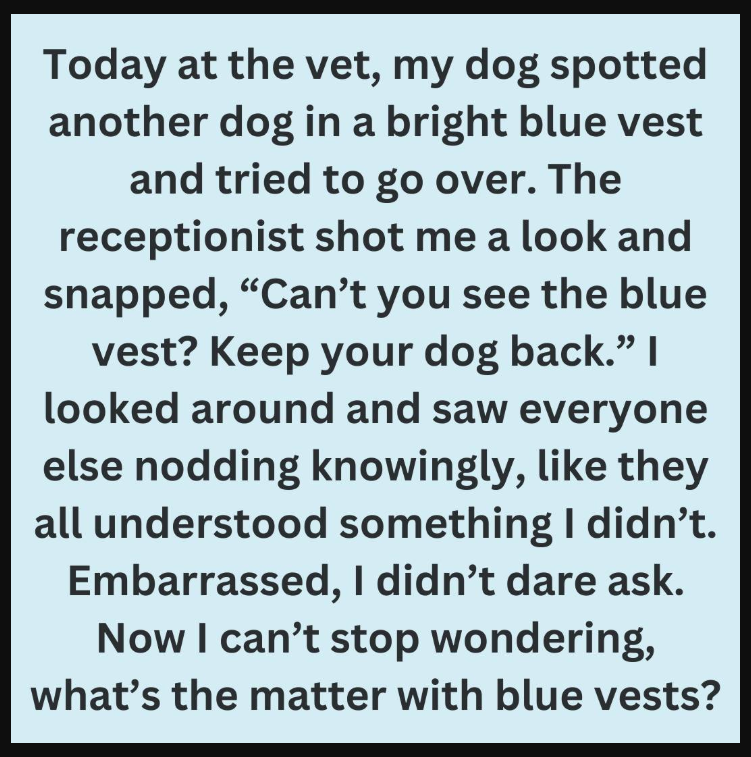 What It Means When a Dog Wears a Blue Vest, Leash, or Bandana