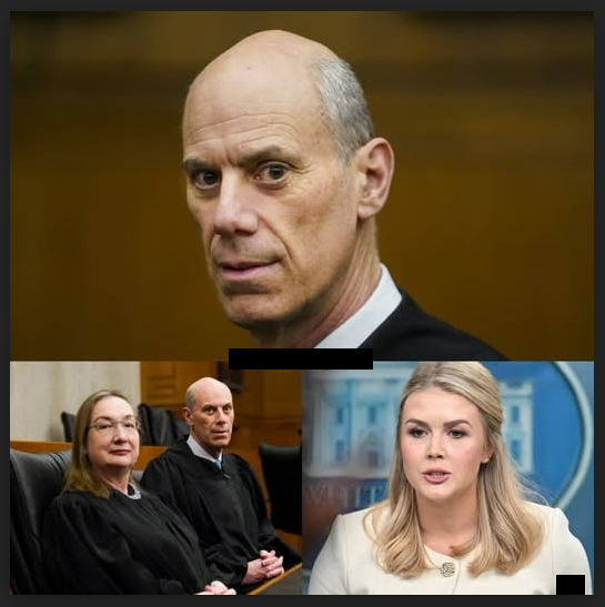 H-Federal judge James Boasberg and his wife lost their temper when Karoline Leavitt exposed everything with bold never-before-published evidence, the biggest surprise is finally confirmed.