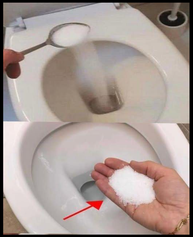 Put salt in your toilet. Here’s why