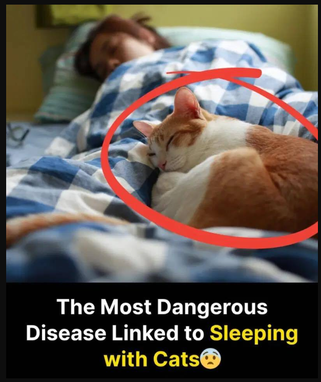 Sleeping with your cat!