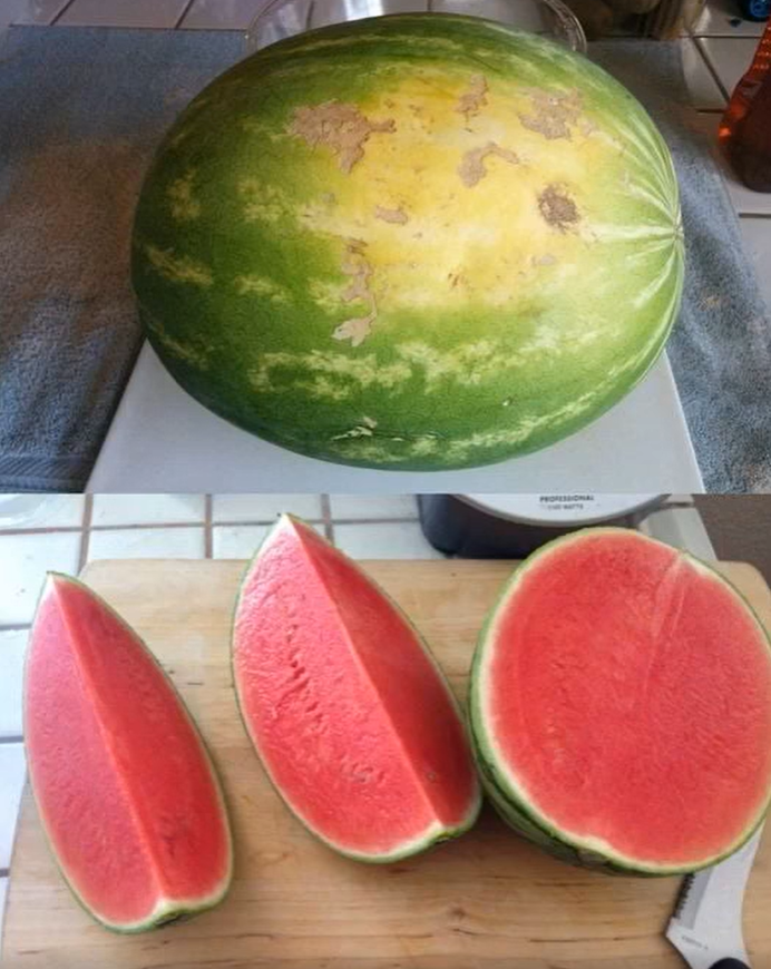How to Pick the Perfect Watermelon: Simple Tips for Sweet Success