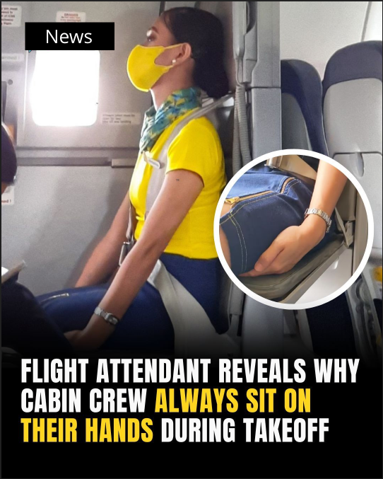 Here’s Why Cabin Crew Sits On Their Hands During Take Off and Landing