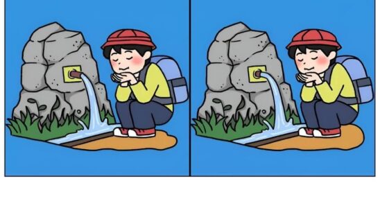 Find 3 Differences in This Picture Puzzle
