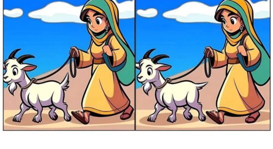 Let’s See How Quickly You Can Find the Differences!