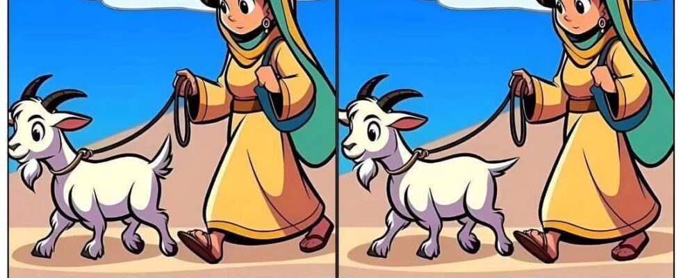 Let’s See How Quickly You Can Find the Differences!