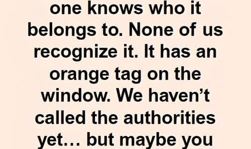 Steps to Take When You Spot an Orange Tag on Your Windshield