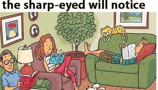 How many of the six hidden words can you locate in this living room photo?
