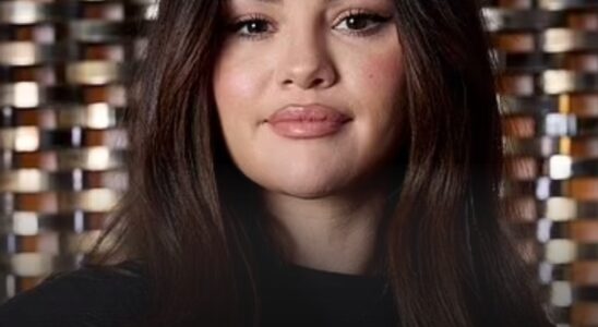 Selena Gomez Makes Heartbreaking Baby Announcement