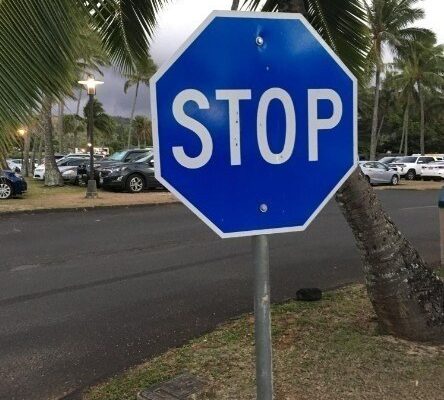 This is The Meaning Behind a Blue Stop Sign