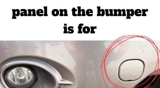 Small Panel on Bumper: Why It’s There