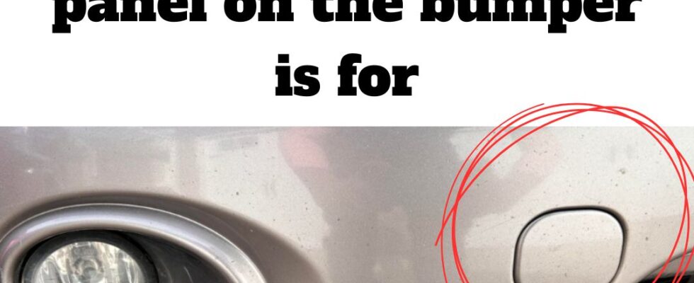 Small Panel on Bumper: Why It’s There