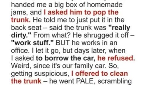 The Locked Trunk, the Hidden Truth, and the Surprise That Changed Everything