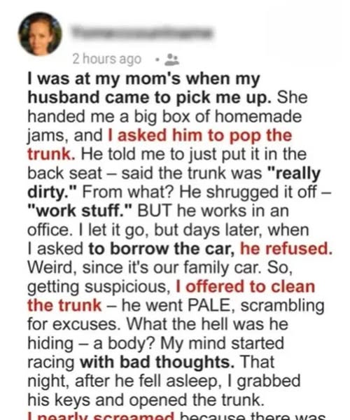 The Locked Trunk, the Hidden Truth, and the Surprise That Changed Everything