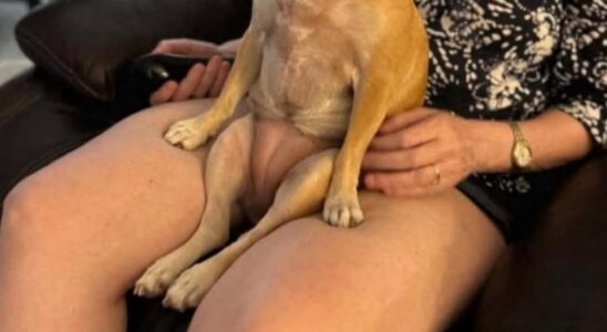 Funny – This Pictures That Need A Second Look