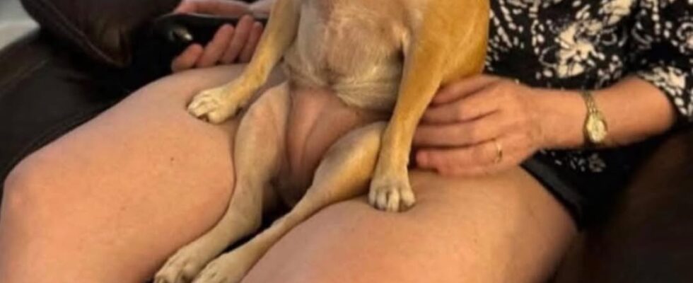 Funny – This Pictures That Need A Second Look