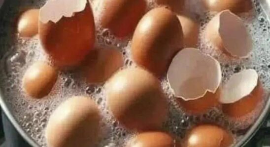Don’t throw them away anymore: How to use eggshells for your health and your plants