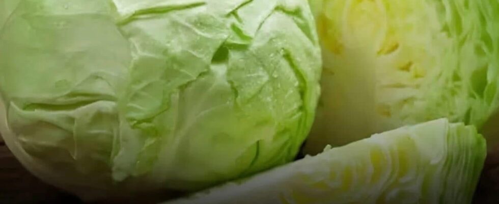 4 Types of People Who Should AVOID Eating Cabbagep