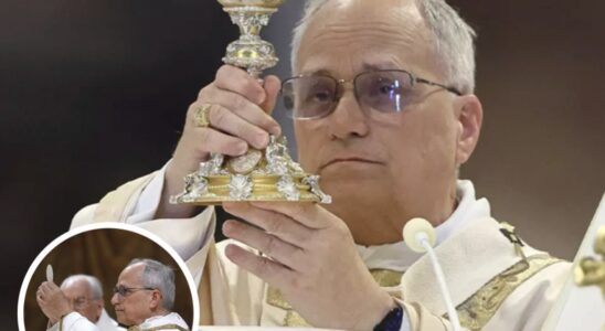 Photo Of Pope Leo At Mass Goes Viral After People Spot ‘Surreal’ Detail
