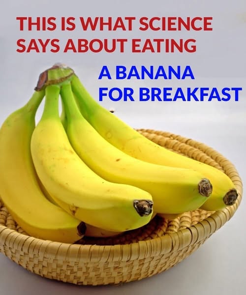 THIS IS WHAT SCIENCE SAYS ABOUT EATING A BANANA FOR BREAKFAST AND…