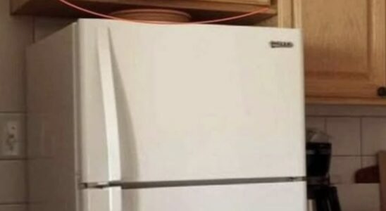 Here’s What Those Cupboards Above Your Refrigerator Are Used
