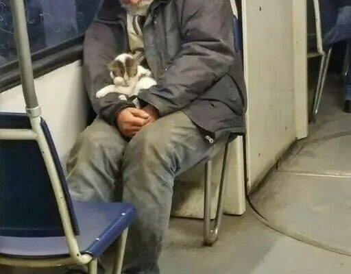 The Homeless Man Who Saved a Kitten – And How It Changed Three Lives Forever