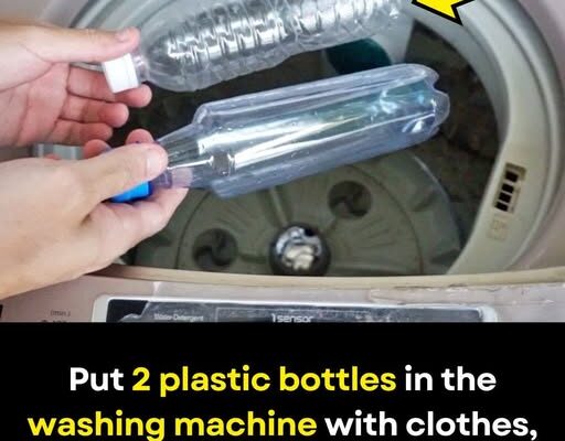 Put 2 Plastic Bottles in the Washing Machine with Clothes — Unexpected Benefits Not Everyone Knows