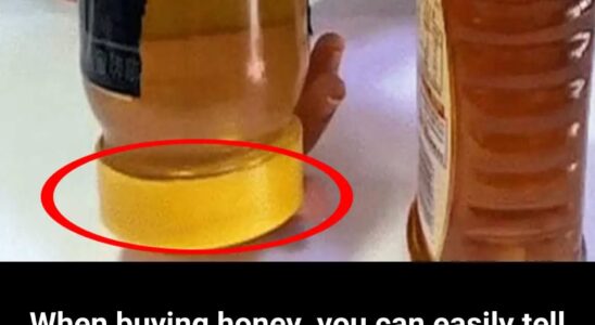 How to Check if Honey Is Real or Fake: A Simple Trick You Should Know