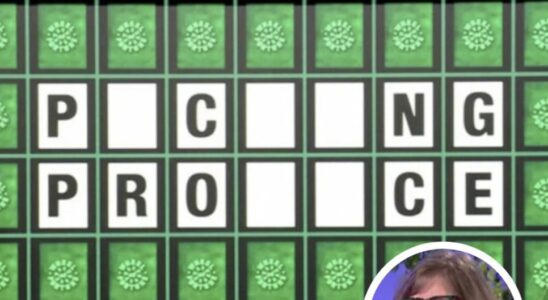 ‘Wheel of Fortune’ Contestant Solves This Bonus Round Puzzle That Stumped Viewers