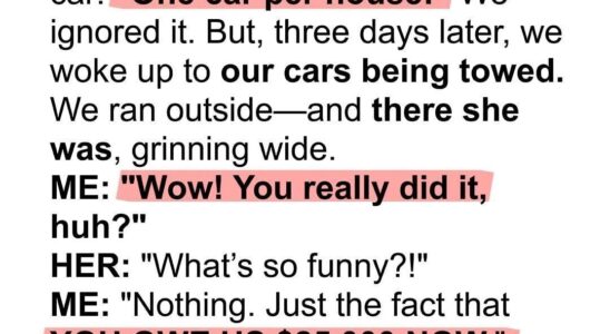 Our Neighbor Had Our Cars Towed—She Didn’t Expect What Came Next