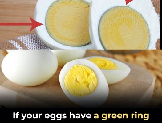 Why Does a Green Ring Appear Around Hard-Boiled Eggs and…