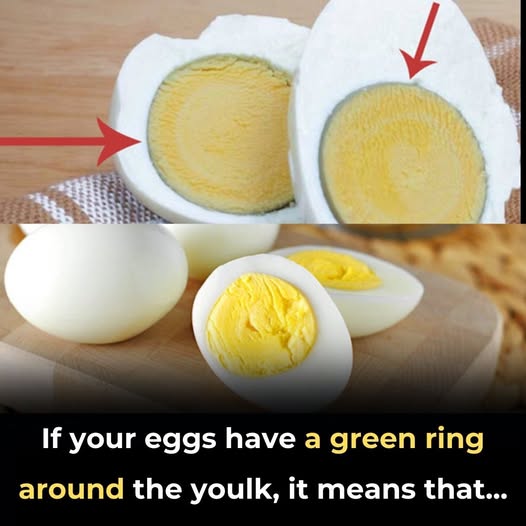 Why Does a Green Ring Appear Around Hard-Boiled Eggs and…
