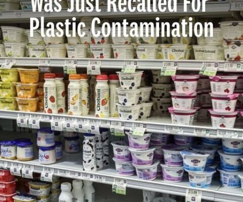 Popular Yogurt Brand Was Just Recalled For Plastic Contamination