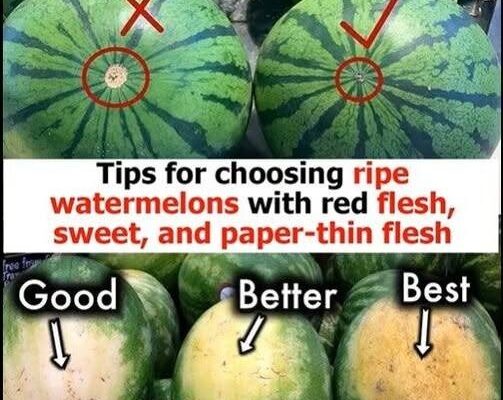 How to Choose a Watermelon That’s Just Right: A Complete Guide