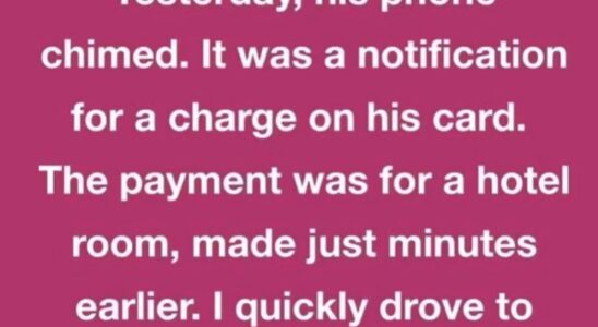 True Stories That Could Hit Internet’s Front Page