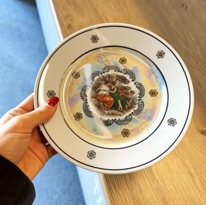 The Plate That Sparked a Revolution