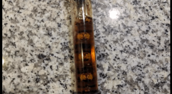 Is This Everyday Object Hiding An Unbelievable Surprise Inside?