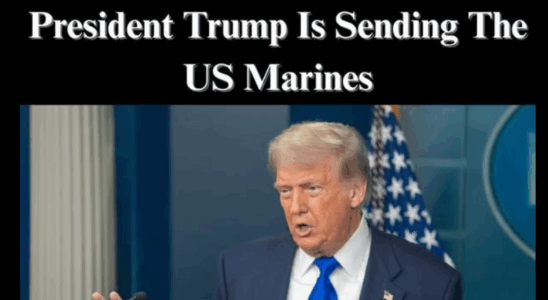 Trump Admin Sending Hundreds of Marines to Florida to Help ICE