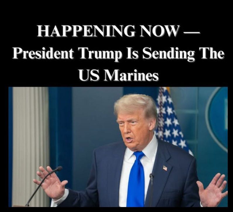 Trump Admin Sending Hundreds of Marines to Florida to Help ICE