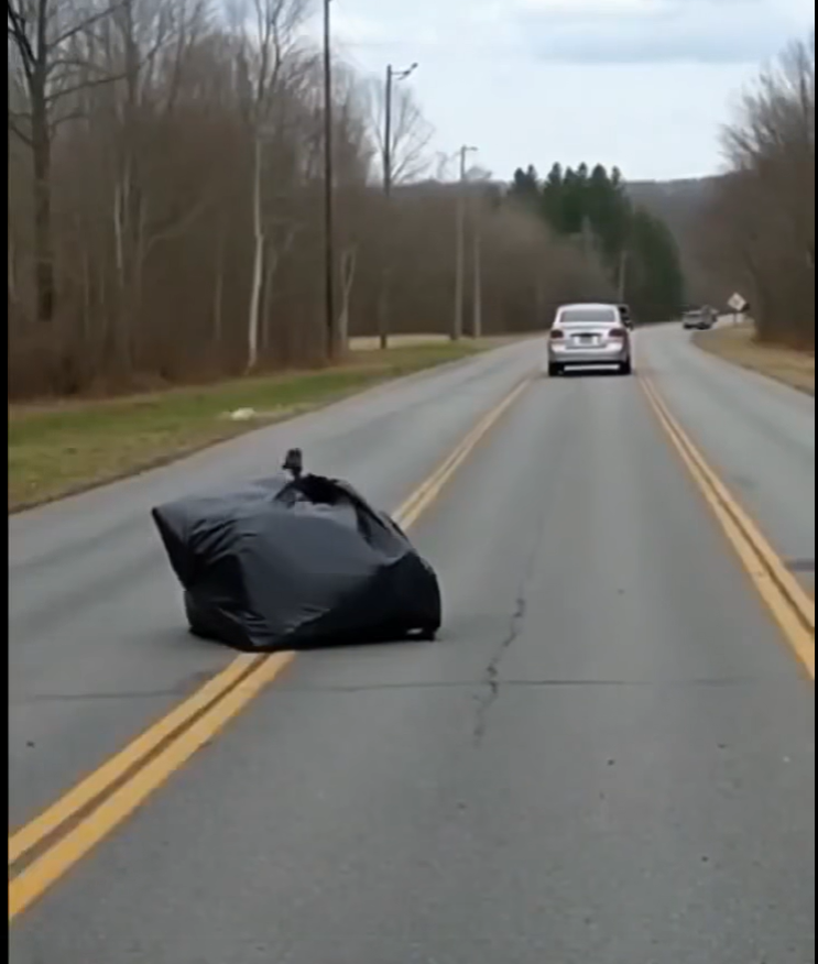 From a car speeding down the road, a strange-looking package was thrown out — and inside, something was struggling restlessly…