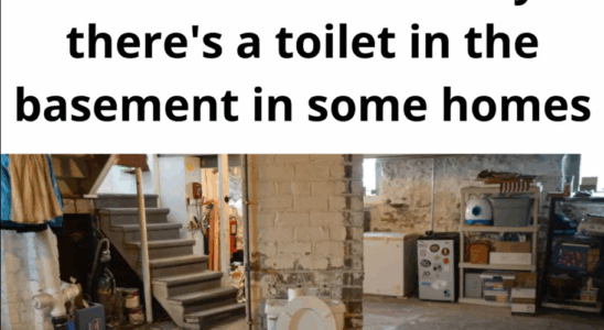 Why some older homes unexpectedly feature a basement toilet