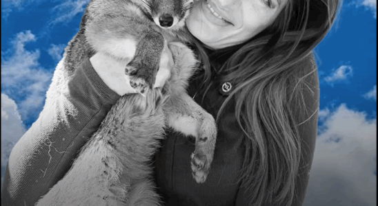 Mikayla Raines, Creator Behind Save a Fox