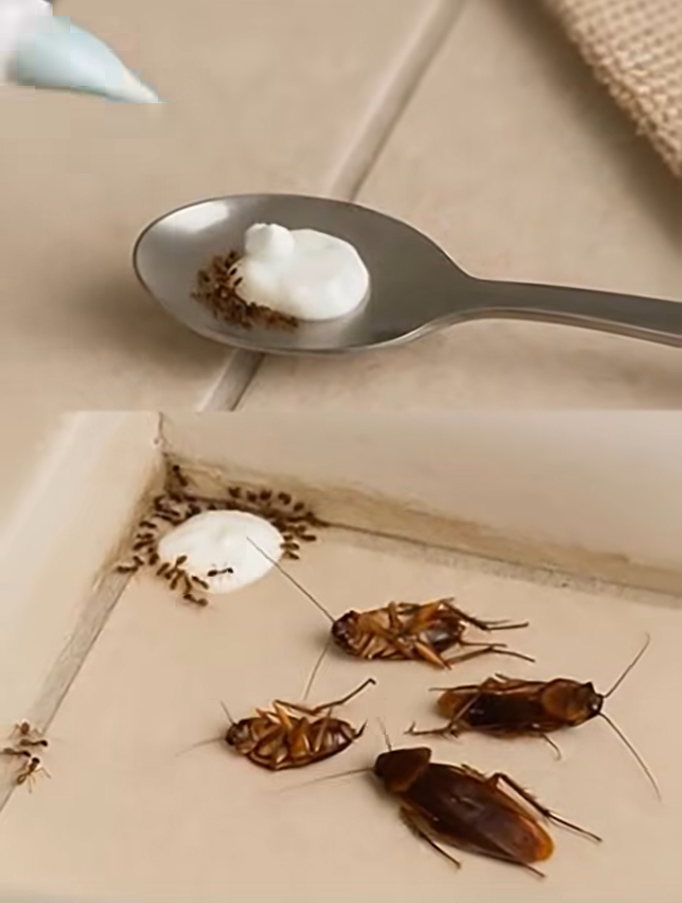Try This Simple Homemade Mix to Keep Flies and Pests Away Naturally