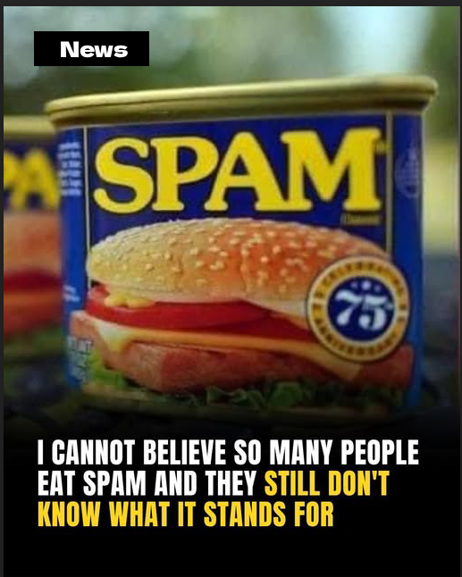 Off The RecordWhy Is It Called Spam, Anyway?